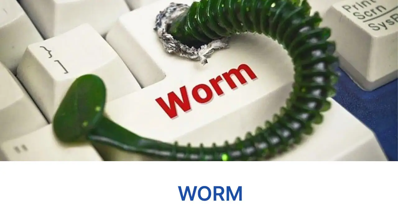 Tấn công phát tán Malware là gì? Cách nhận biết và phòng tránh hiệu quả 4 Worm-la-gi