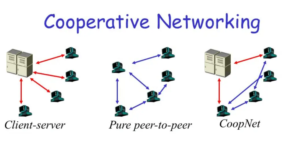Mạng Peer to Peer (P2P) là gì? Cách hoạt động và ứng dụng thực tế 3 Coopnet