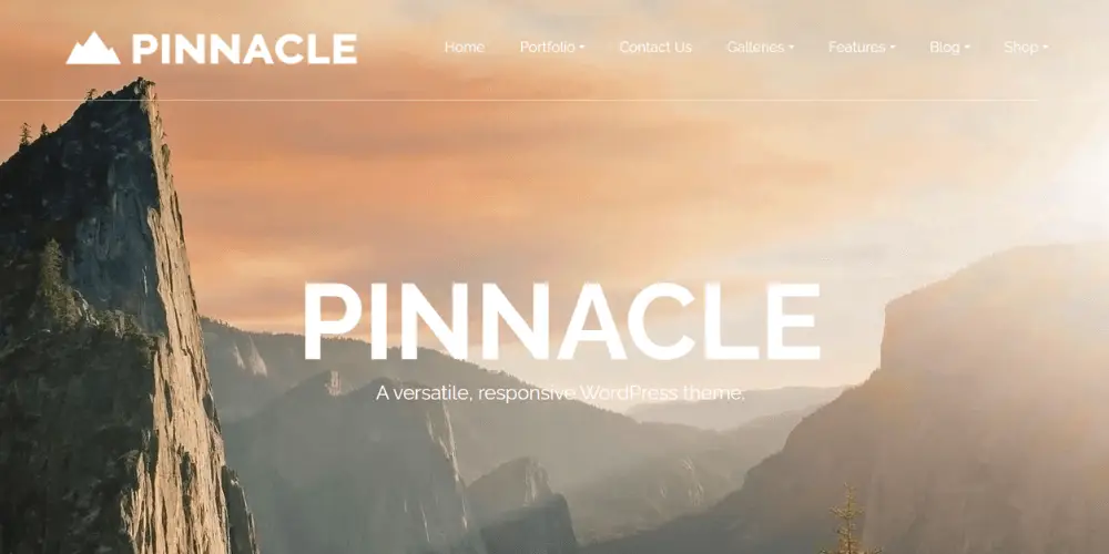 Top 15+ Theme WordPress cho Website Doanh Nghiệp Đa Ngành Chuẩn SEO 3 Pinnacle