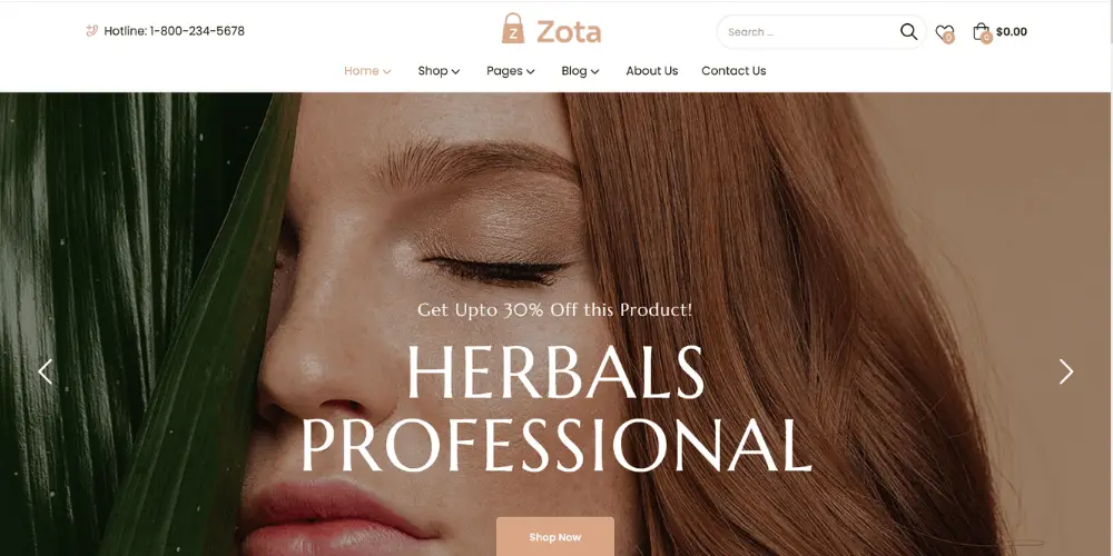 Theme-zota