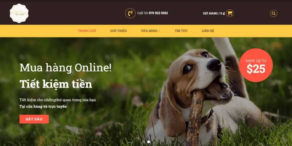 Theme-pet-care