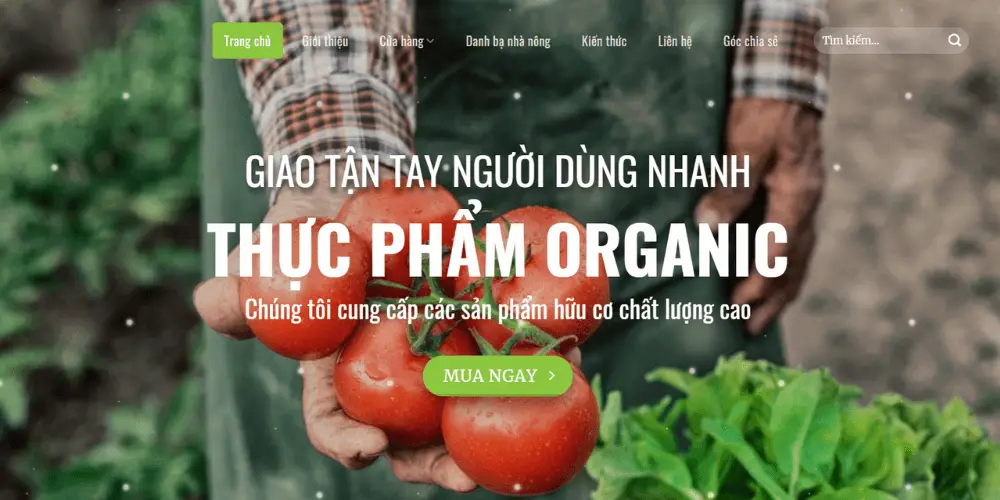 Theme-thuc-pham-organic