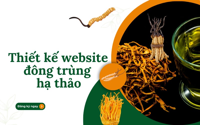 Thiết kế website đông trùng hạ thảo chuyên nghiệp – Hiện đại, chuẩn SEO