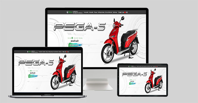 Thiết kế website bán xe điện chuẩn SEO, hiện đại chi phí hợp lý 1 Thiết kế website bán xe điện chuẩn seo, hiện đại chi phí hợp lý