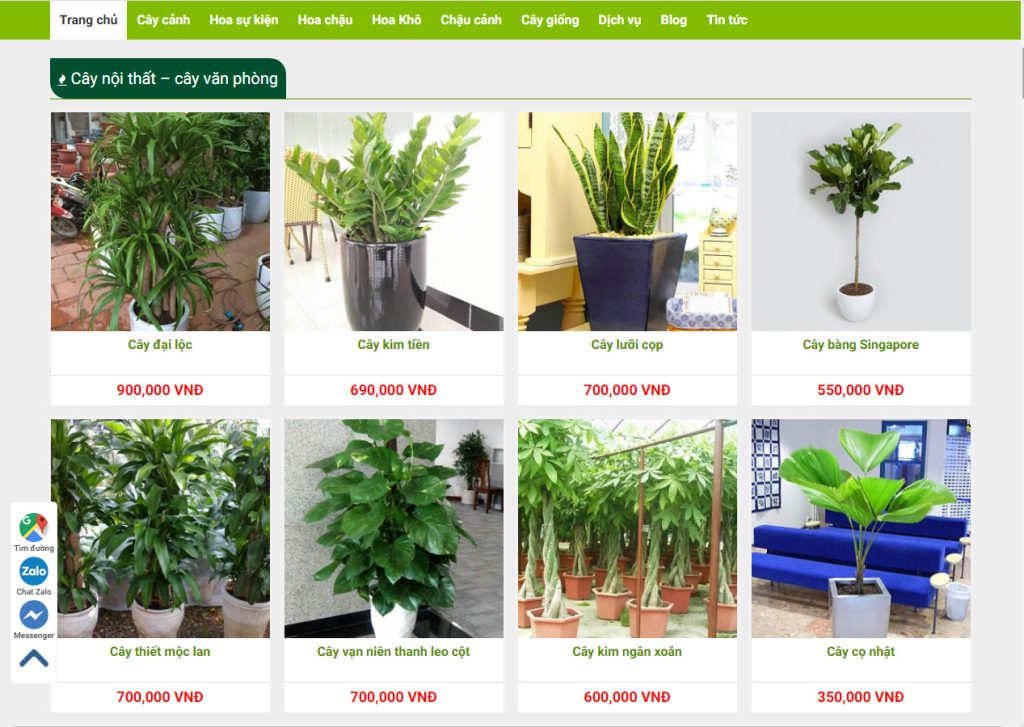 Thiết kế website bán cây cảnh