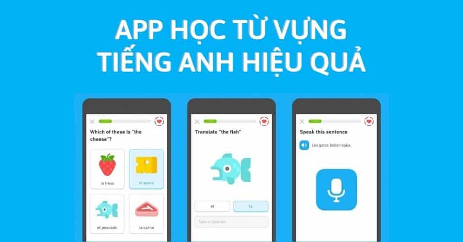 Top 7 App học từ vựng tiếng Anh miễn phí giúp bạn nhớ lâu, học nhanh