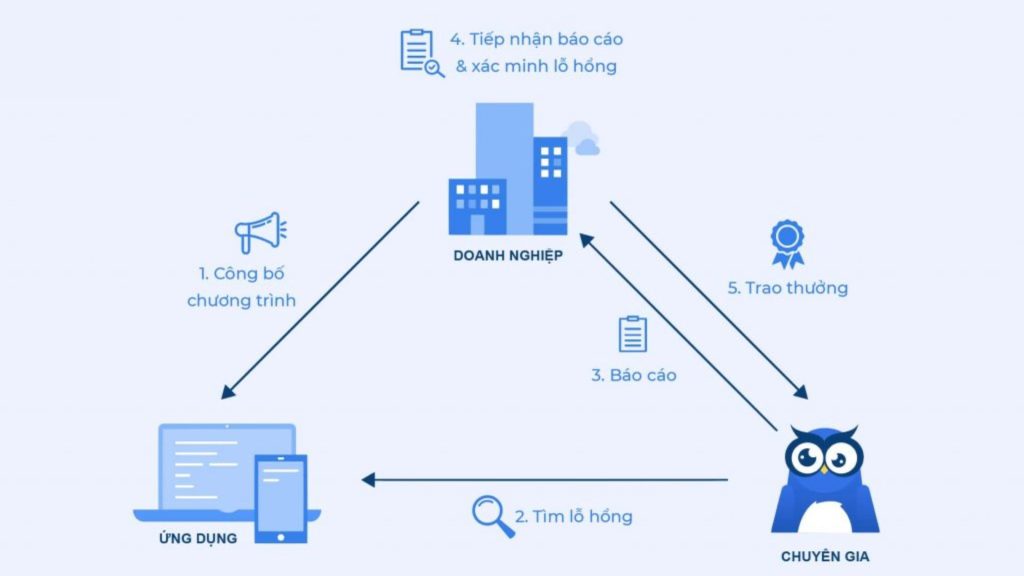 Các đối tượng chính của bug bounty