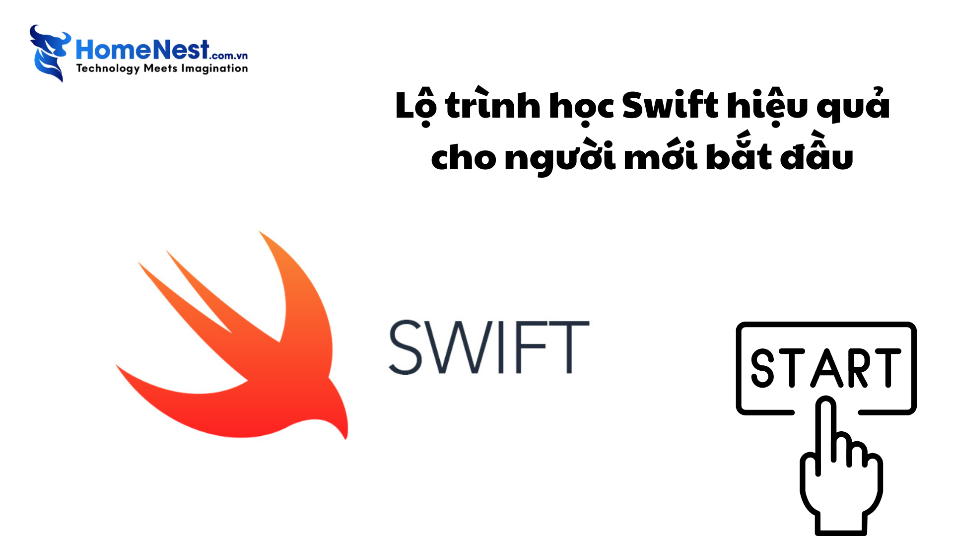 Lộ trình học swift hiệu quả cho người mới bắt đầu