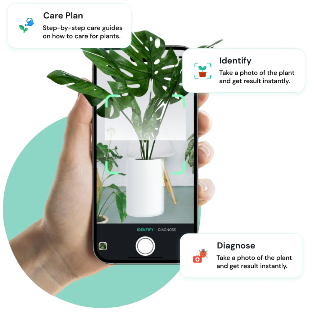 Các tính năng ảnh hưởng đến chi phí phát triển app nhận diện cây trồng