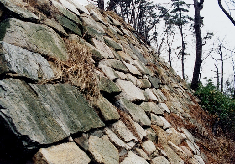 울산광역시 중구 울산왜성(학성)