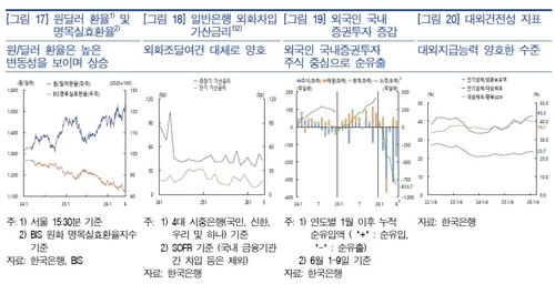 대외건전성지표 등 [한은 제공]