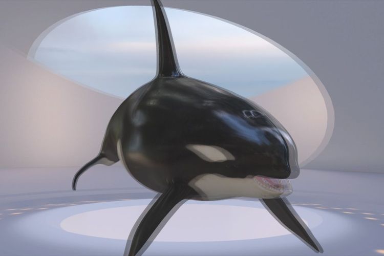 Fitur 3D Model Viewer. 