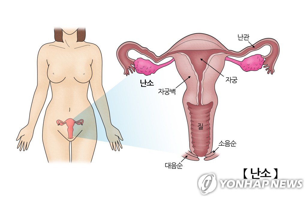 난소