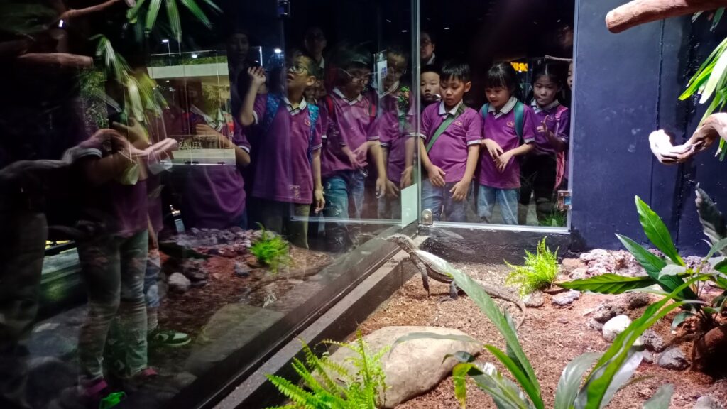 Museum Komodo