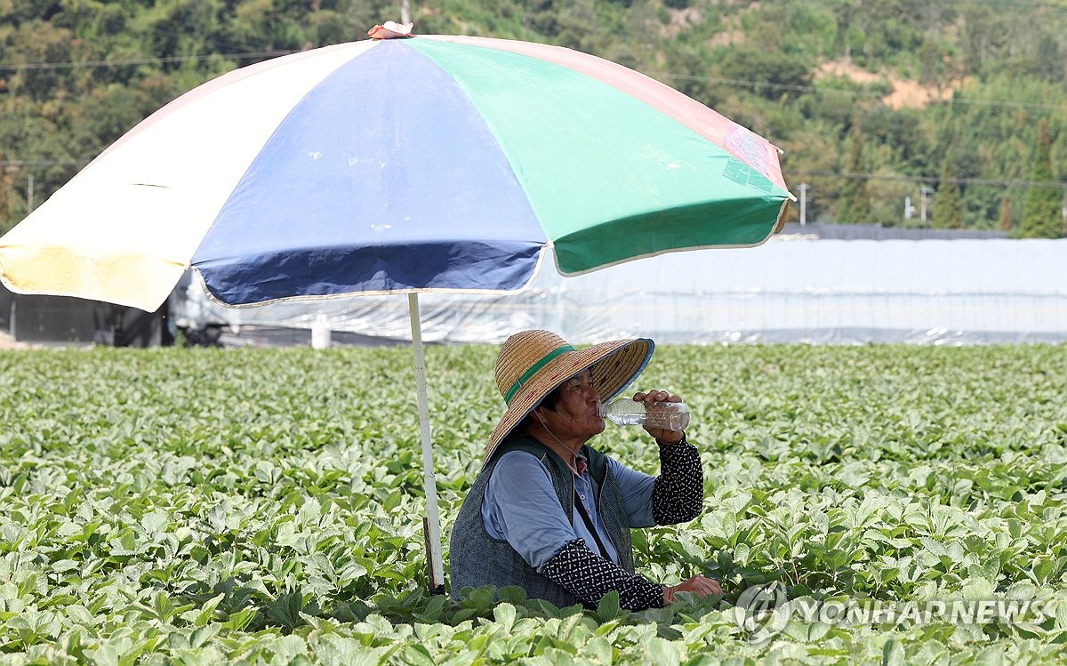 부산·울산·경남 전 지역 폭염특보…낮 최고 35∼39도 | 연합뉴스