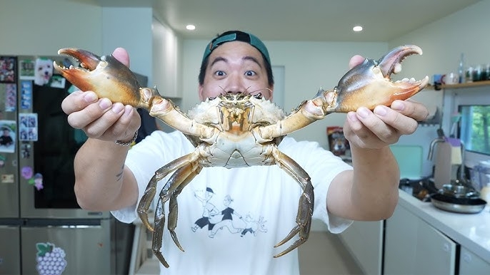 [소셜＋] 배스 매운탕·가시박 잎쌈…생태 교란종의 '맛있는 변신' | 연합뉴스