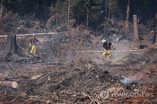 산불에 파묘되는 1·2차대전 포탄…"유럽, 새 위협 노출" | 연합뉴스