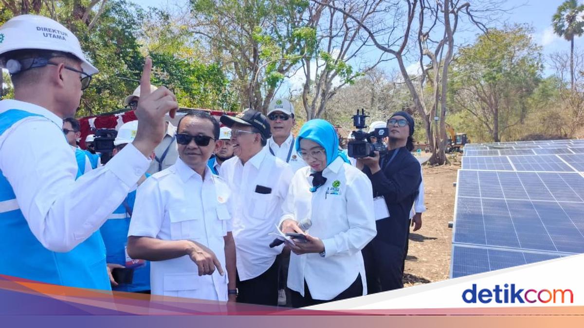 Resmi Meluncur! 14 PLTS Ini Jadi Pembuka Megaproyek 100 GW