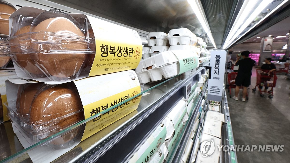 계란값 안정 전망에도 체감은 아직…3분기 들어 작년보다 6.5%↑ | 연합뉴스