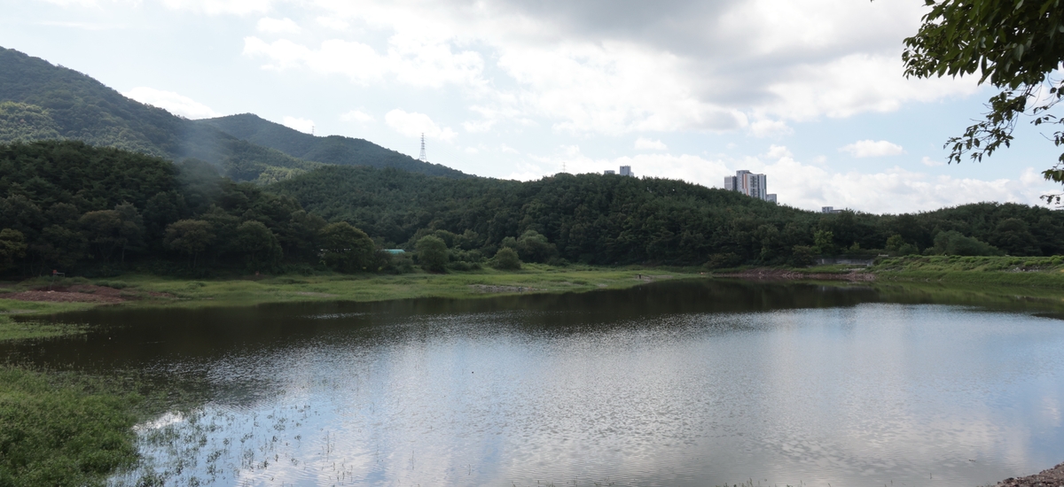 [르포] "이제야 한숨 돌렸어요"…가뭄 시달린 농민들, 잇단 비에 반색 | 연합뉴스