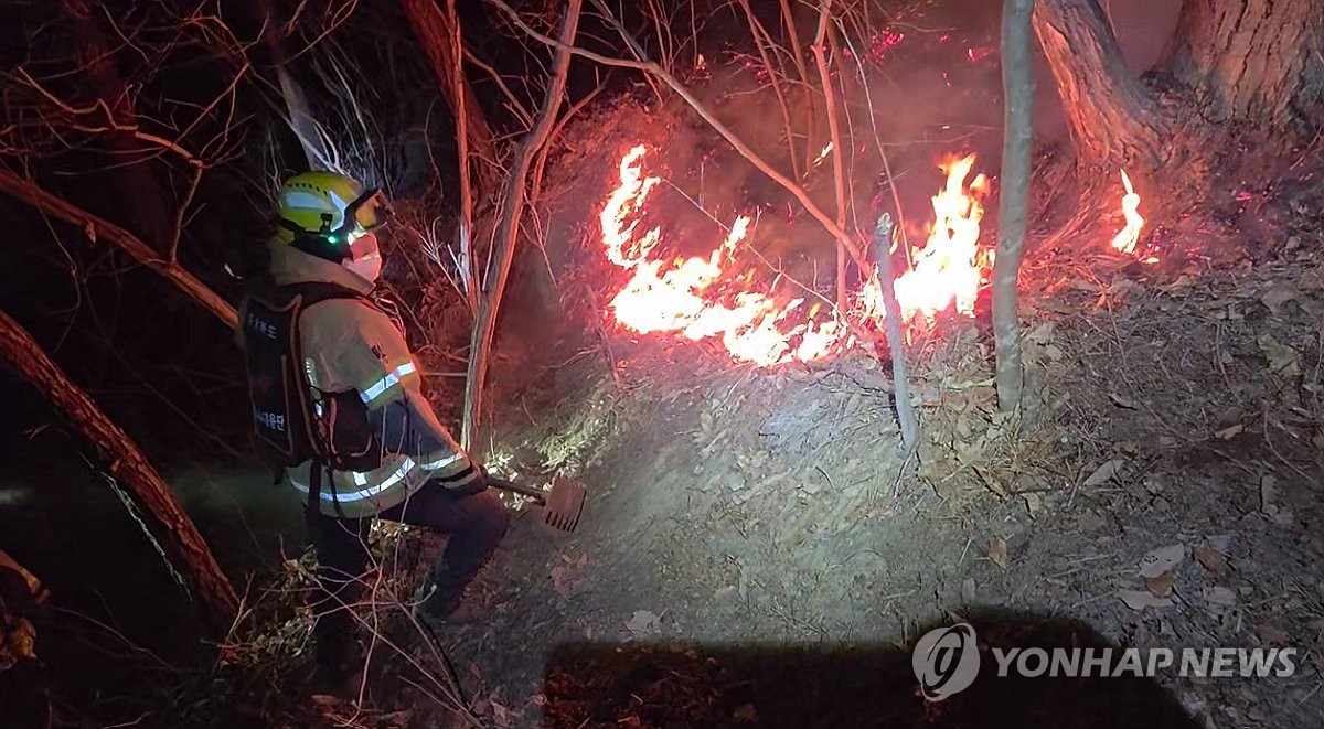 '산불카르텔' 유령업체 동원 '메뚜기 입찰' 10곳 세무조사 | 연합뉴스