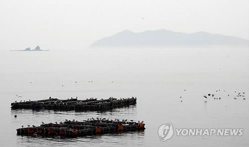 백령도 해군부대 먹는 물, 붕소 기준치 초과로 '부적합' | 연합뉴스