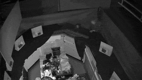 CCTV·사설경비 뚫고 1분30초만에 5억대 귀금속 절도 | 연합뉴스