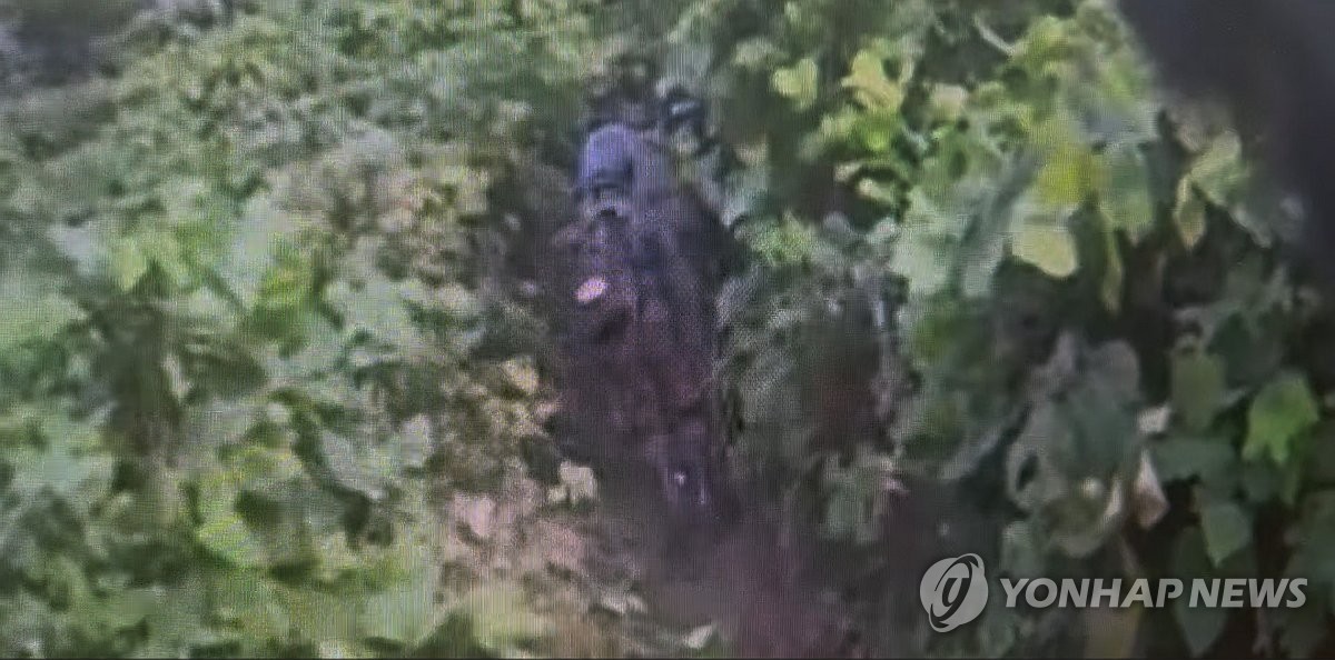 軍, DMZ 현장조사 돌입…폭발지점 도달 못해 추가조사 예정 | 연합뉴스