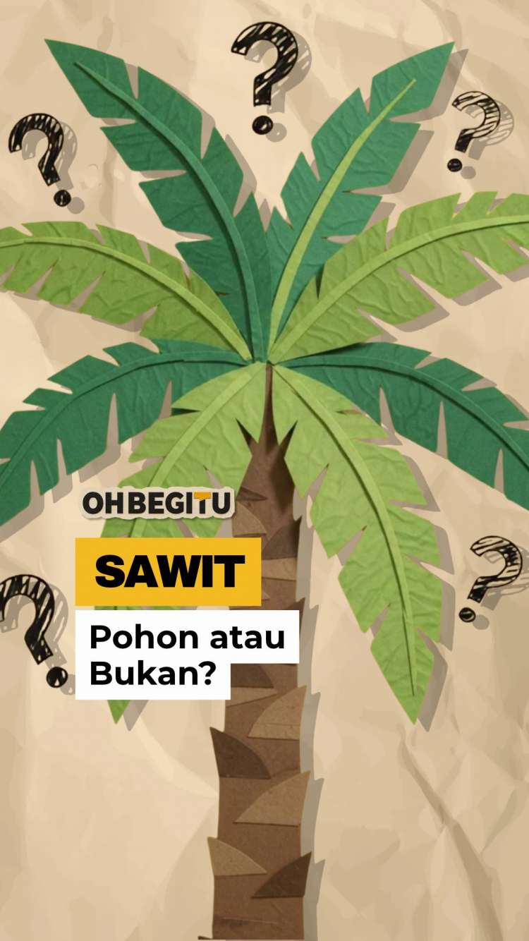 Kelapa Sawit Itu Pohon atau Bukan Sih?
