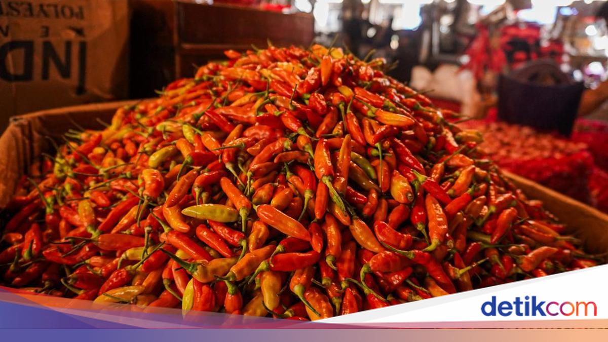 Harga Cabai Rawit Masih Mahal, Tembus Rp 102 Ribu/Kg!