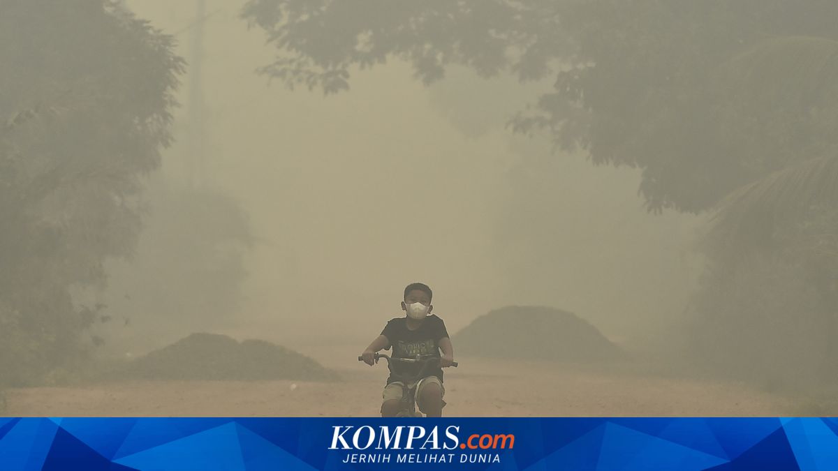 Komdigi Minta Platform Transparan soal Pembatasan Konten Karhutla