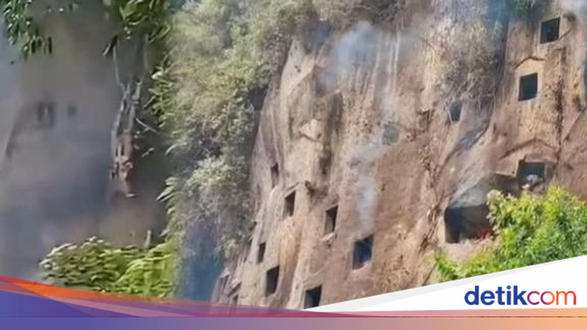 Kebakaran Hutan Toraja Utara Merambat ke Kuburan Batu di Tebing Baruppu