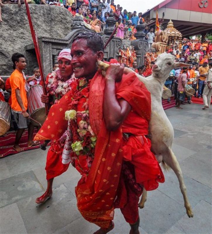 S(t)eeped in blood Hindu devotees sacrifice animals in Deodhani festival