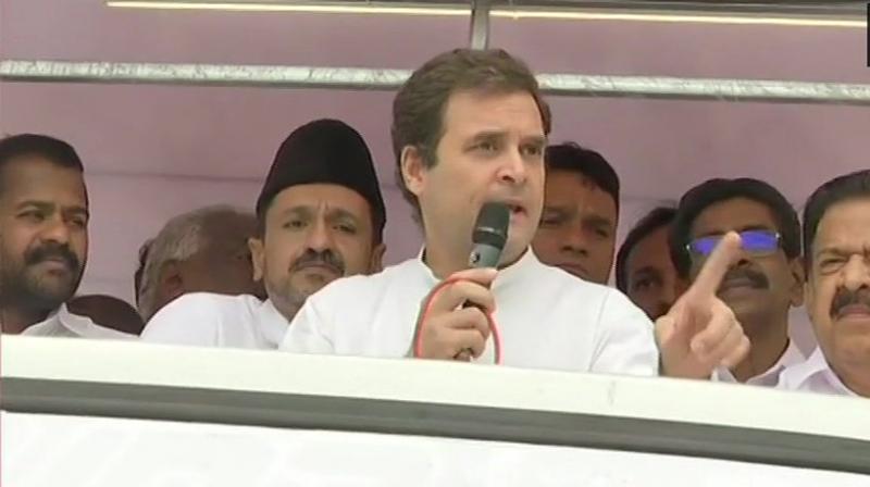 Rahul said, Even though I belong to the Congress party, our doors will be open for every single citizen of Wayanad, regardless of their age, regardless of where they come from, regardless of what ideology they come from. (Photo: ANI | Twitter) Rahul said, Even though I belong to the Congress party, our doors will be open for every single citizen of Wayanad, regardless of their age, regardless of where they come from, regardless of what ideology they come from. (Photo: ANI | Twitter)