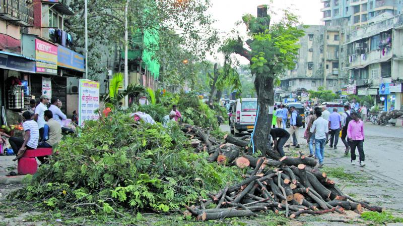 The spot where trees were cut on the Old Nagardas Road in Andheri East. (Photo :Mrugesh Bandiwadekar)