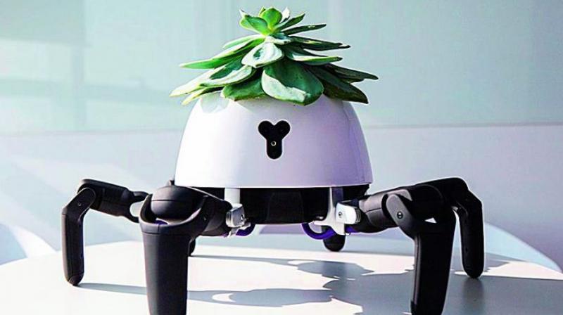 With a robotic rover base, plants can experience mobility and interaction.