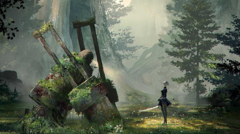 The world is relatively small with multiple regions belonging to different biomes.