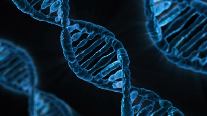 So far, fewer than 3,500 complex life species, or only about 0.2 percent, have had their genomes sequenced. (Photo: Pixabay) So far, fewer than 3,500 complex life species, or only about 0.2 percent, have had their genomes sequenced. (Photo: Pixabay)