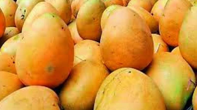 (Representational image)