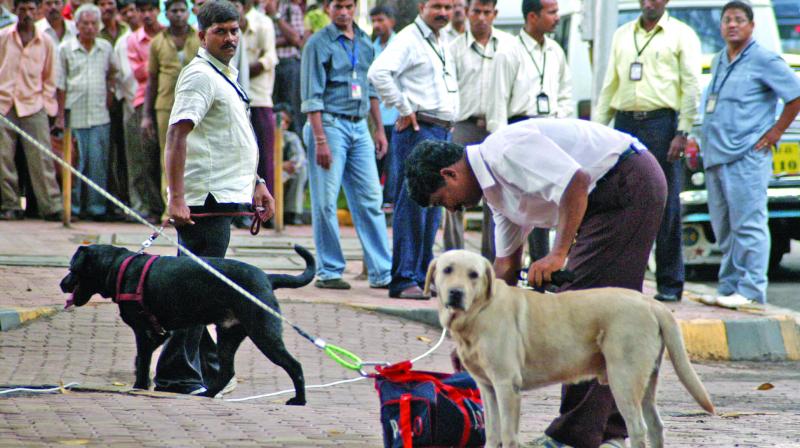 The firm purchased kits from South Africa, China.