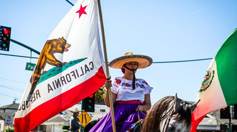 A woman carries a California flag. (Photo: Representational Image/AFP)