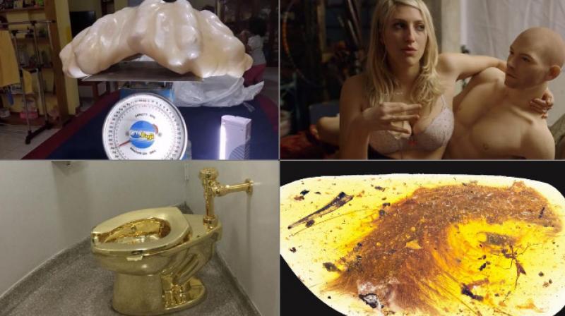 Yearender 2016: Weirdest artifacts that went viral Yearender 2016: Weirdest artifacts that went viral