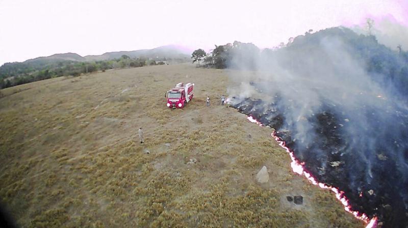 Alarming pictures of Amazon forest fire in Brazil