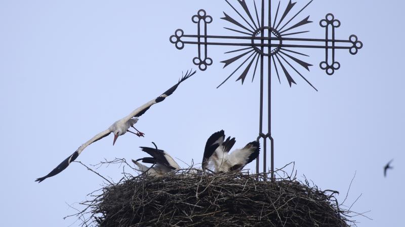Belarus: Heaven for nature lovers