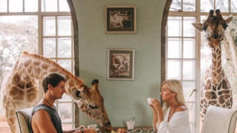 Travelling couple makes thousands of dollars per Instagram shot