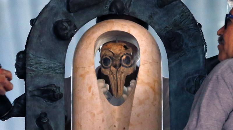 Mexicans take out processio honouring endangered porpoises