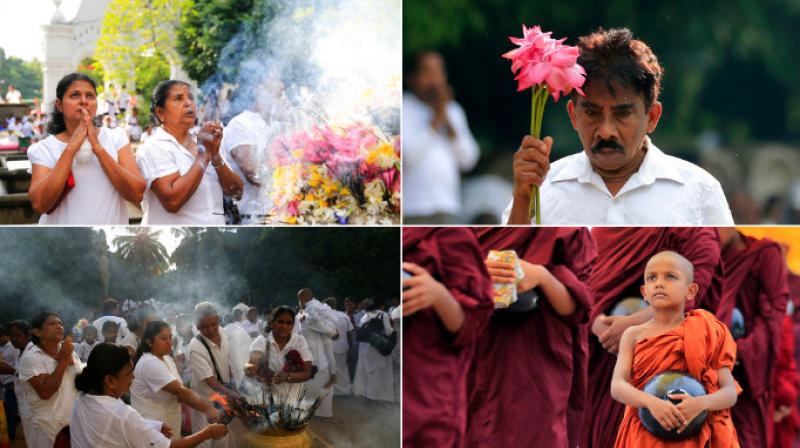 Devotees celebrate the festival of Buddha Purnima in Sri Lanka