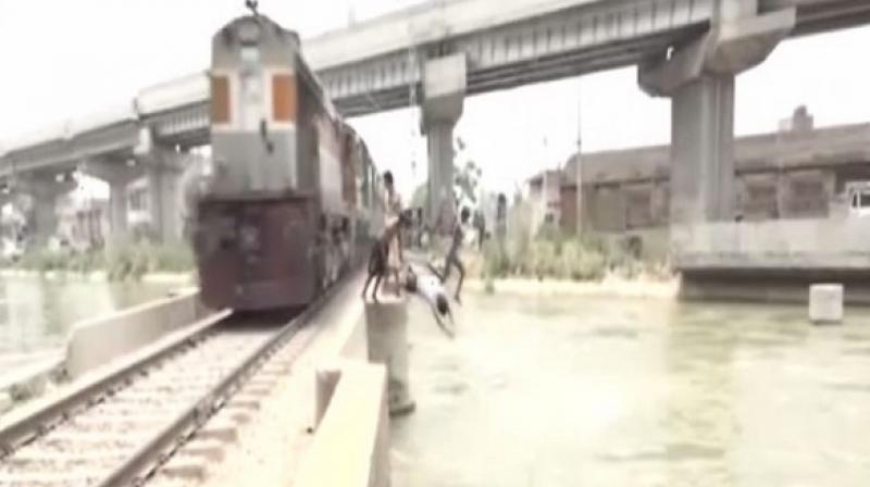 Whenever a train approaches, these children climb railways track and jump into a nearby canal, throwing caution out of the window. (Photo: ANI) Whenever a train approaches, these children climb railways track and jump into a nearby canal, throwing caution out of the window. (Photo: ANI)