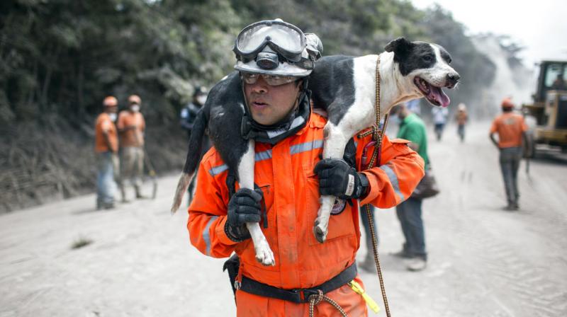 Volcano of Fire in Guatemala leaves behind ashes, survivors and dead
