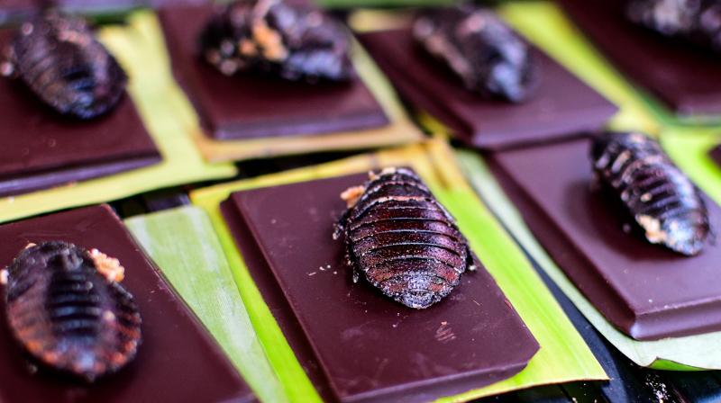 Markets in Mexico offer unusual pre-Hispanic dishes